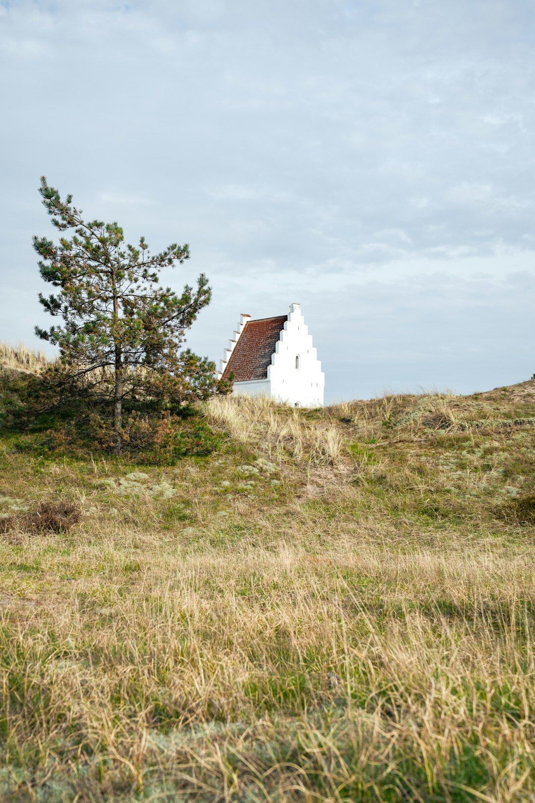 Danish coastal landscape at sunrise