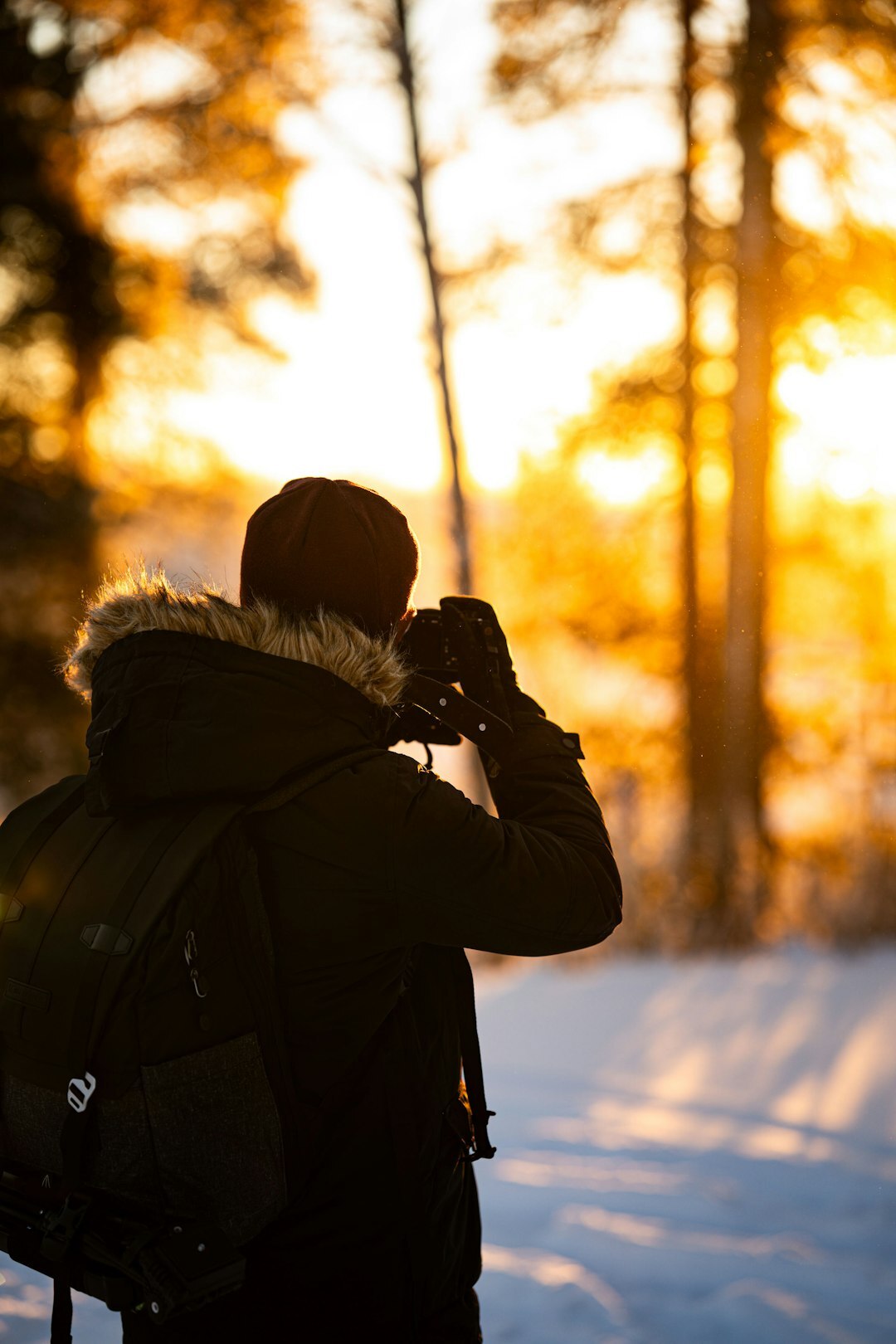 Photographer holding camera in golden forest light